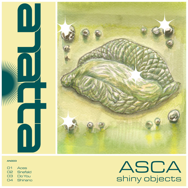 Shiny Object cover art