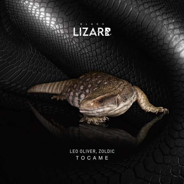 Tocame album art
