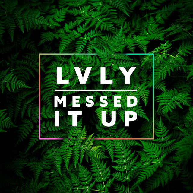 Messed It Up cover art
