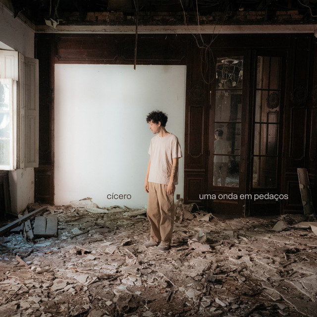 Uma onda em pedaços cover art