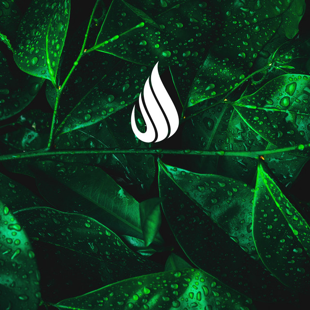 Aqueous by Epiphonema