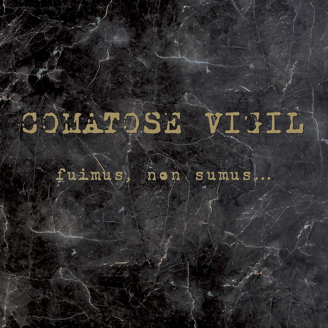 Comatose Vigil Photo