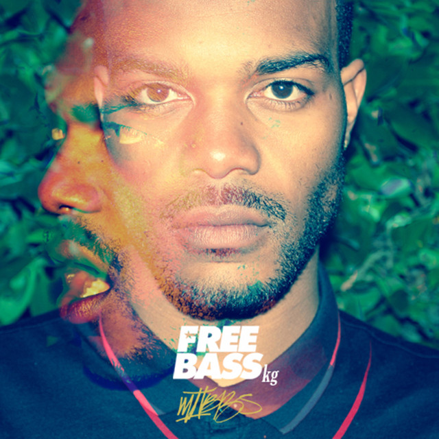 FREEBASSkg cover art
