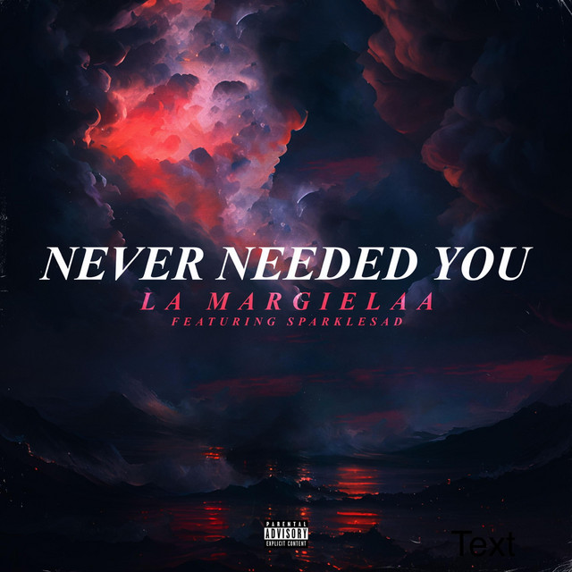 Never Needed You