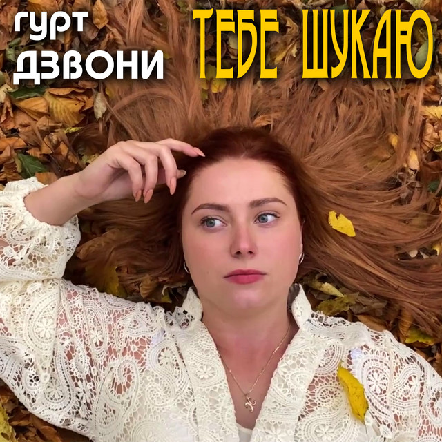 Обкладинка: Тебе шукаю — гурт Дзвони