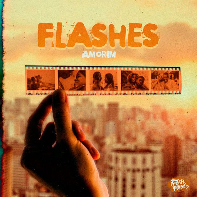 Flashes cover art