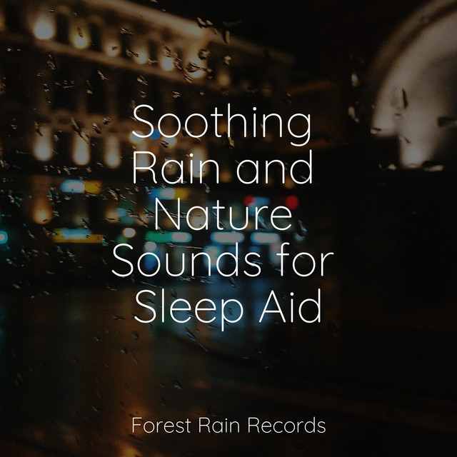 Soothing Rain and Nature Sounds for Sleep Aid - Album by Pro Sound ...