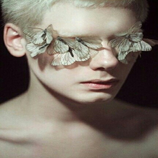 Butterflies