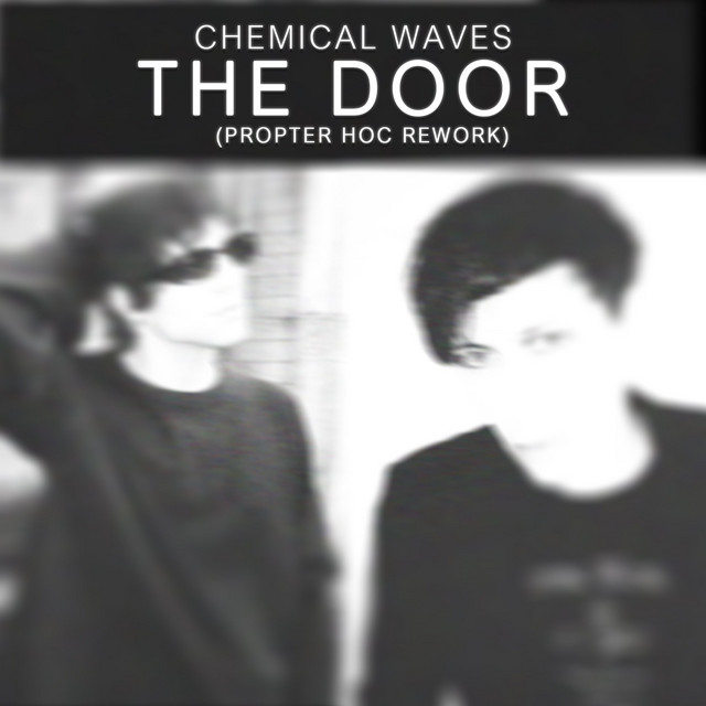 The Door - Propter Hoc Remix Rework