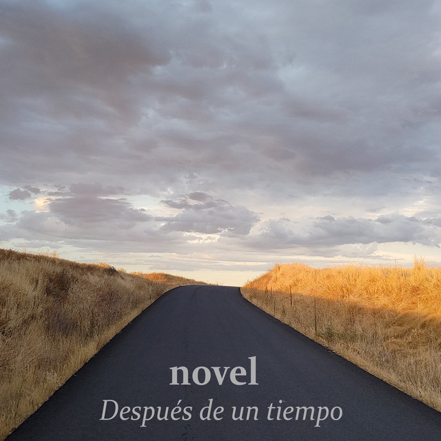 novel