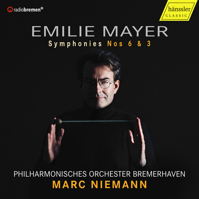 Symphony No. 6 in E Major: I. Adagio - Allegro con spirito