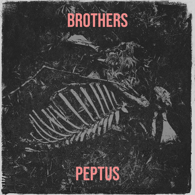 Brothers (Radio Edit)