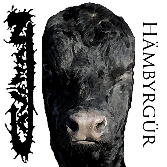 Hämbyrgür cover art