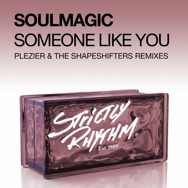 Someone Like You (Plezier & the Shapeshifters Remixes) cover art