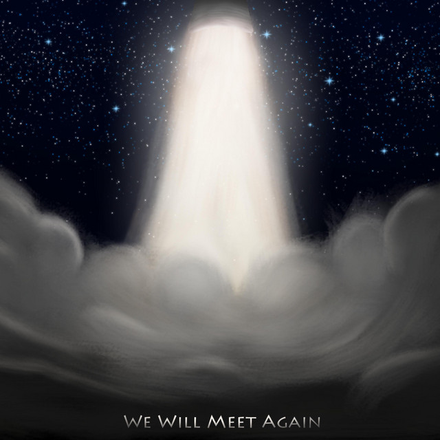We Will Meet Again cover
