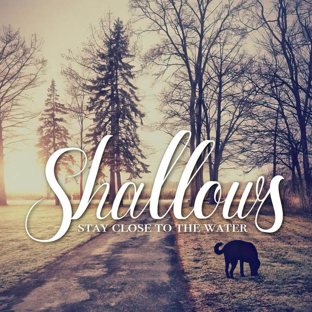 Shallows
