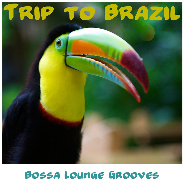 Trip to Brazil cover