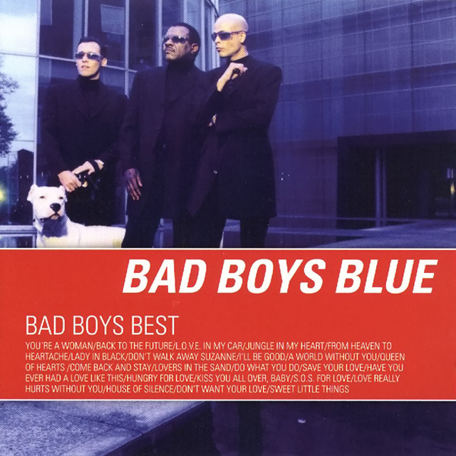Bad Boys Best cover