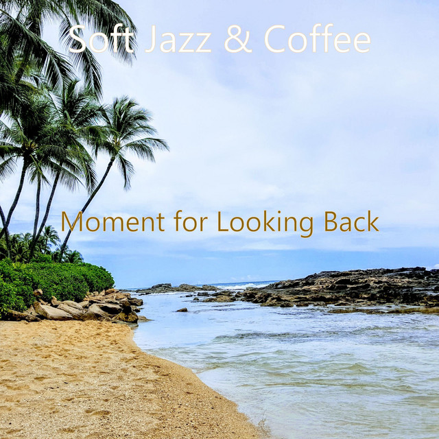 Moment for Looking Back cover art