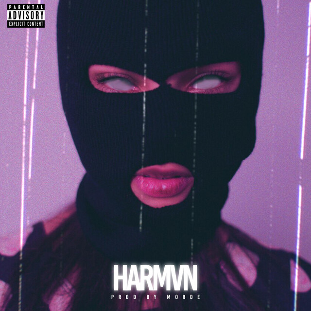 HARMVN cover art