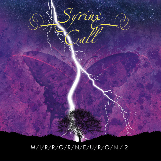 Mirrorneuron 2 cover