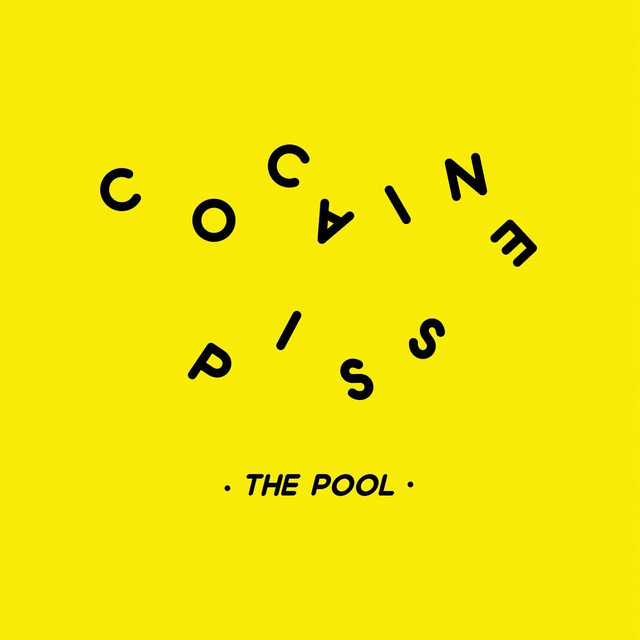 The Pool cover