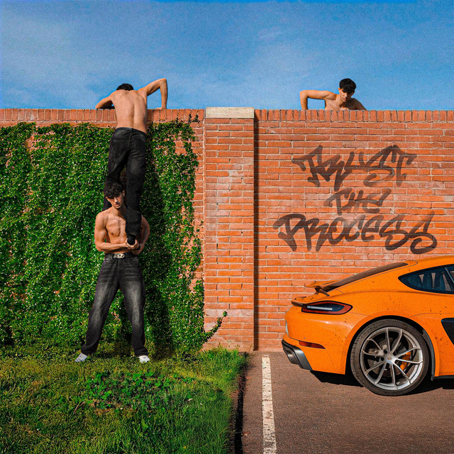TRUST THE PROCESS cover art