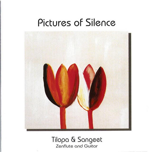 Pictures of Silence cover
