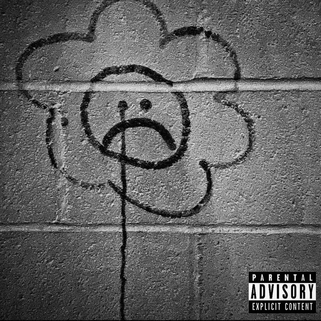 Wallflower cover art