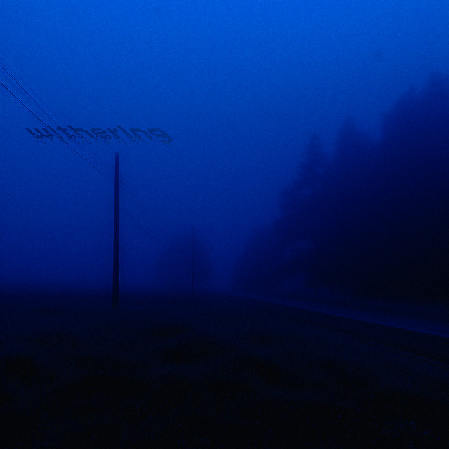 withering cover art