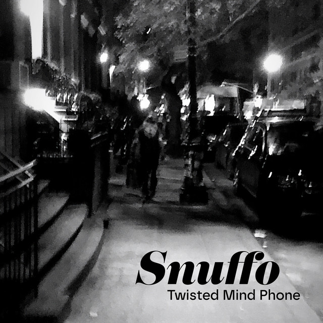 Twisted Mind Phone cover art