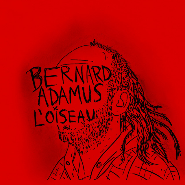 Bernard Adamus - L