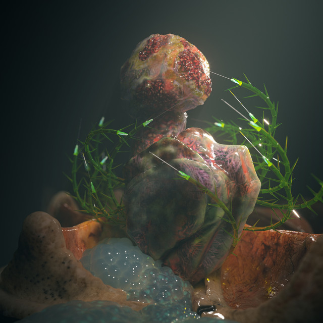 Barnacles cover