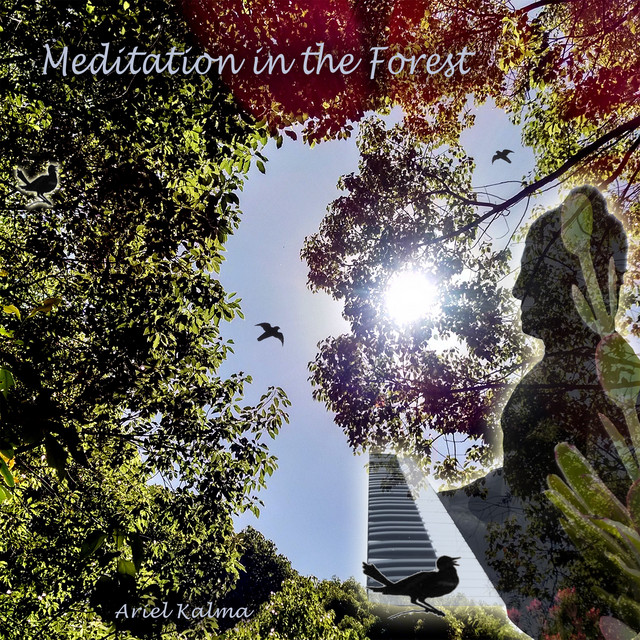 Meditation in the Forest cover art
