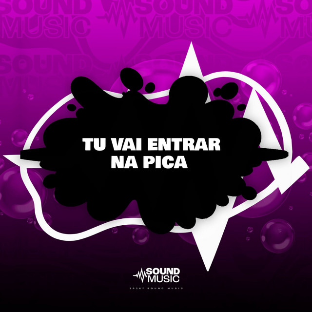 TU VAI ENTRAR NA PICA album image