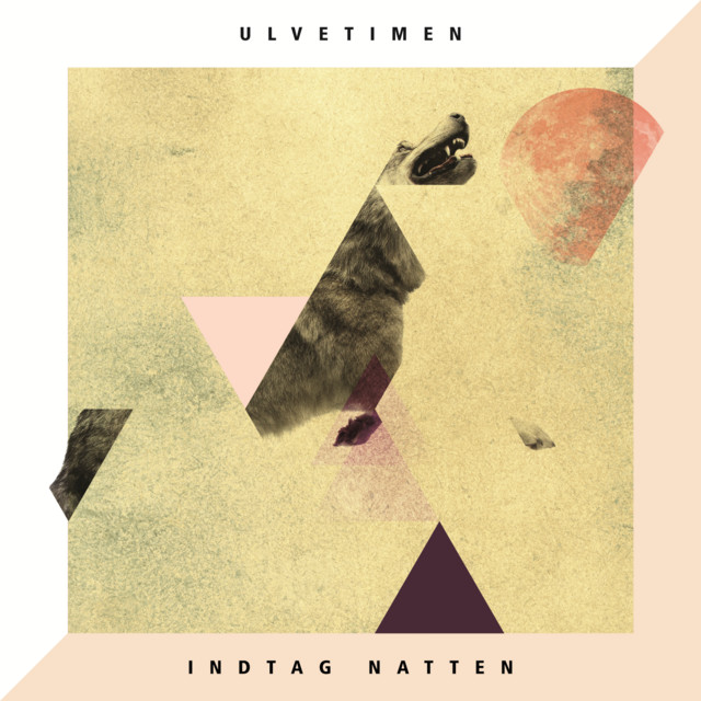 Indtag Natten cover art
