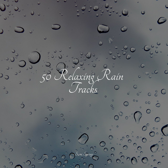 50 Relaxing Rain Tracks - Album by Relax Meditation Sleep | Spotify