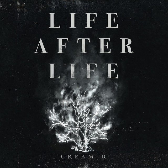 LIFE AFTER LIFE cover art