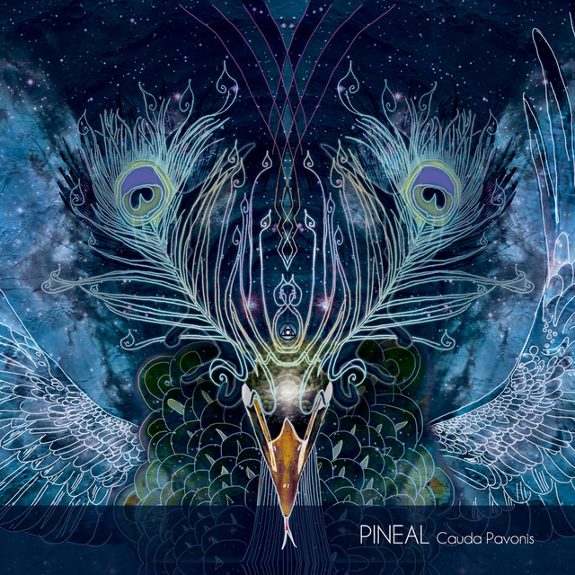 Cauda Pavonis cover art