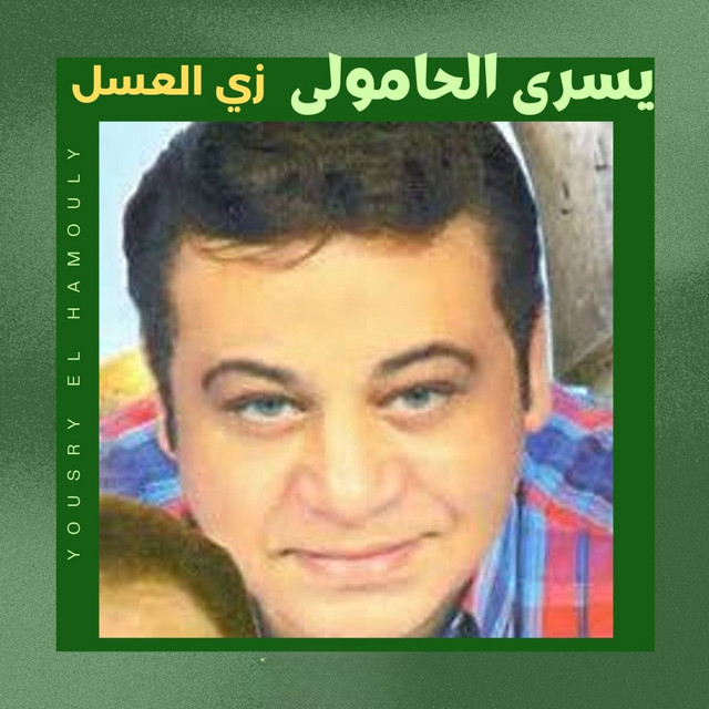 يسرى الحامولى