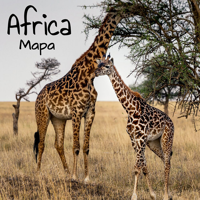 Africa