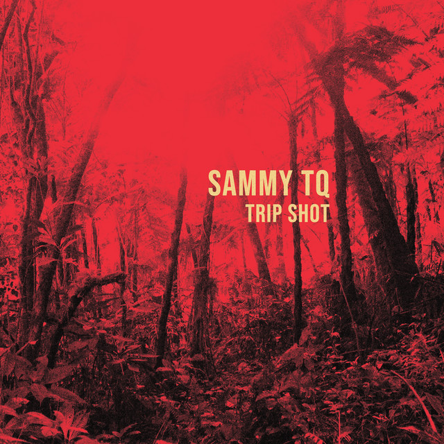 Trip Shot cover