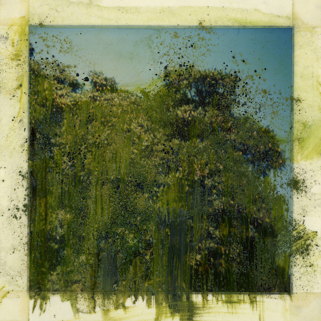 Semenation cover