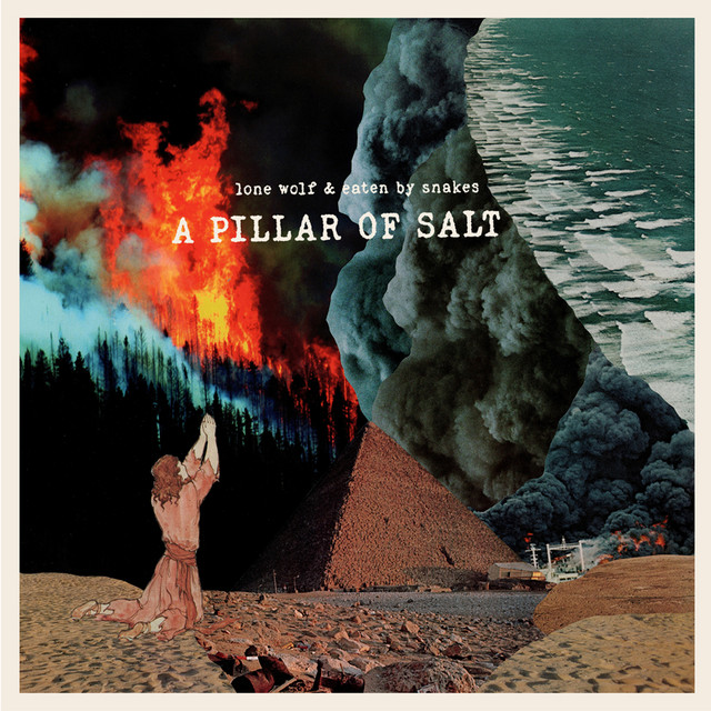 A Pillar of Salt cover