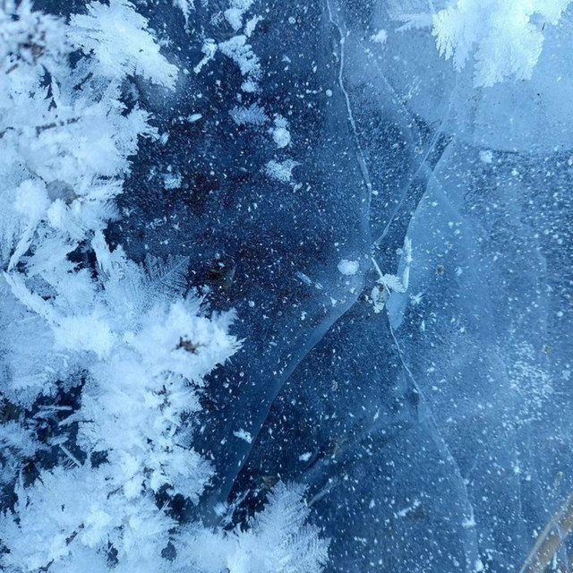 Cold and warm in winter cover