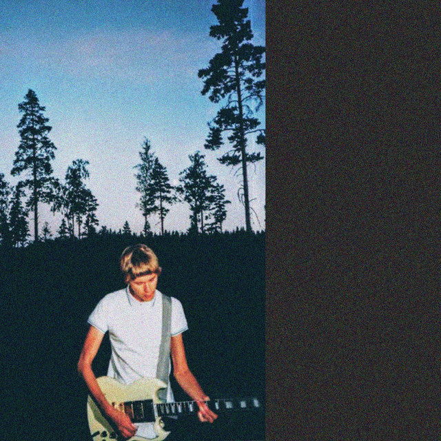 Brusa högre lilla snut cover