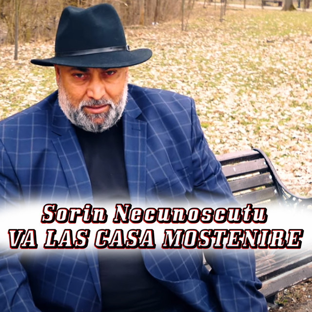 Va Las Casa Mostenire cover art
