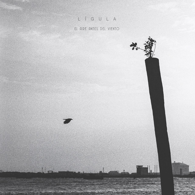 El Aire Antes del Viento cover art