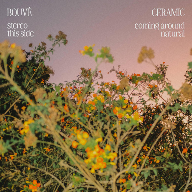stereo cover art