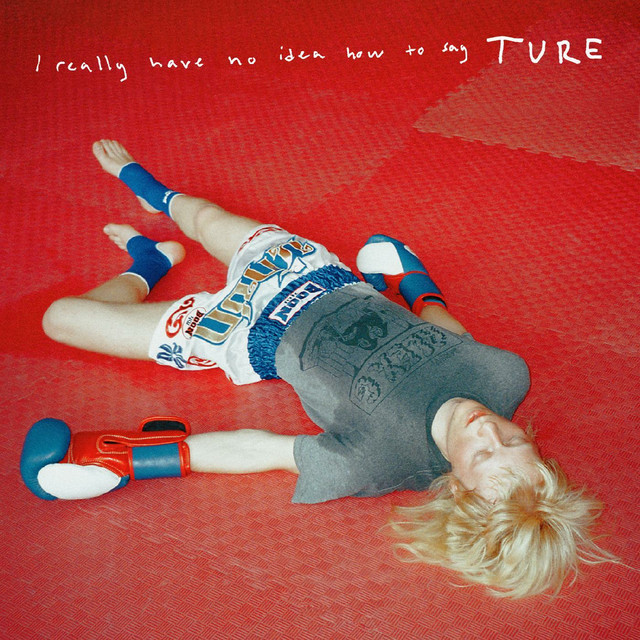 i really have no idea how to say ture cover art